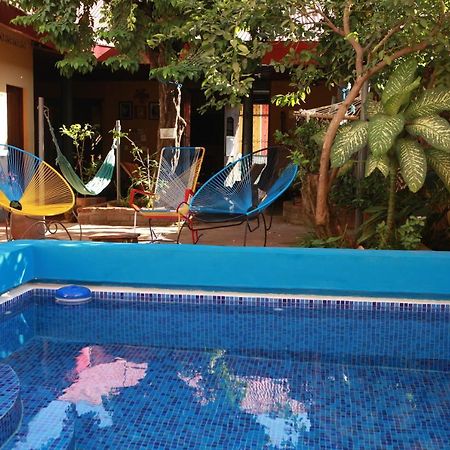 León Hostal La Tortuga Booluda المظهر الخارجي الصورة