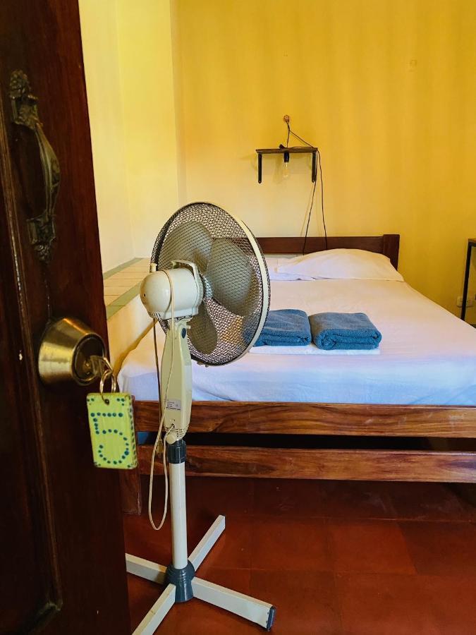 León Hostal La Tortuga Booluda المظهر الخارجي الصورة